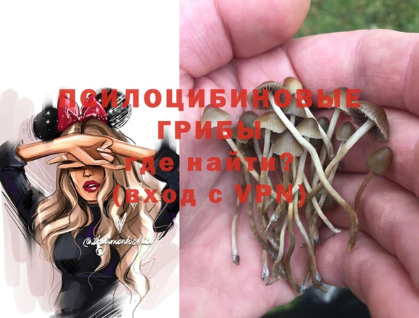 шишки Абинск