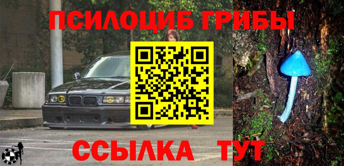 Краснодар  Псилоцибиновые грибы Magic Shrooms  Вход с VPN 