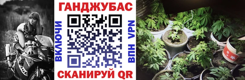 Марихуана гибрид  дарнет шоп  Краснодар 